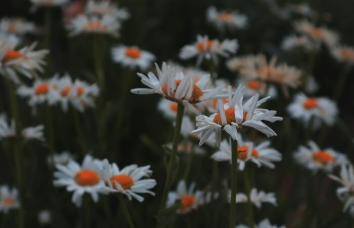 Quello che non doveva succedere è successo